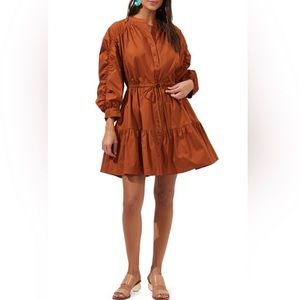 ASTR THE LABEL Cotton Ruched Shirt Dress Brown Size S